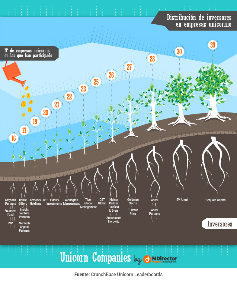 MDirector-infografia-Distribucion_de_inversores