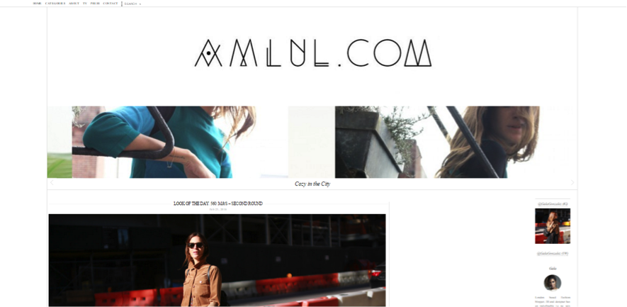 blogueras de moda: Amlul