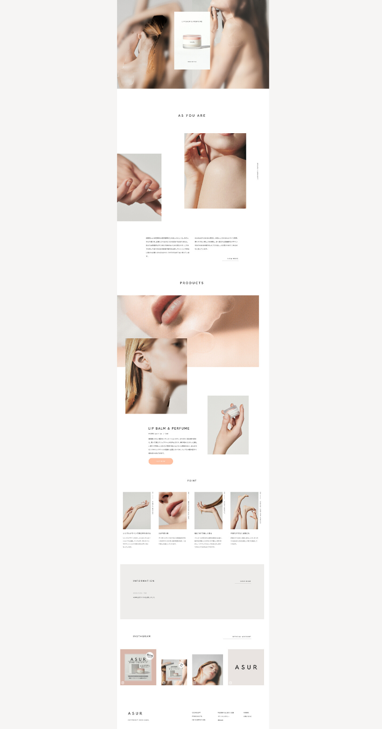 landing page asur