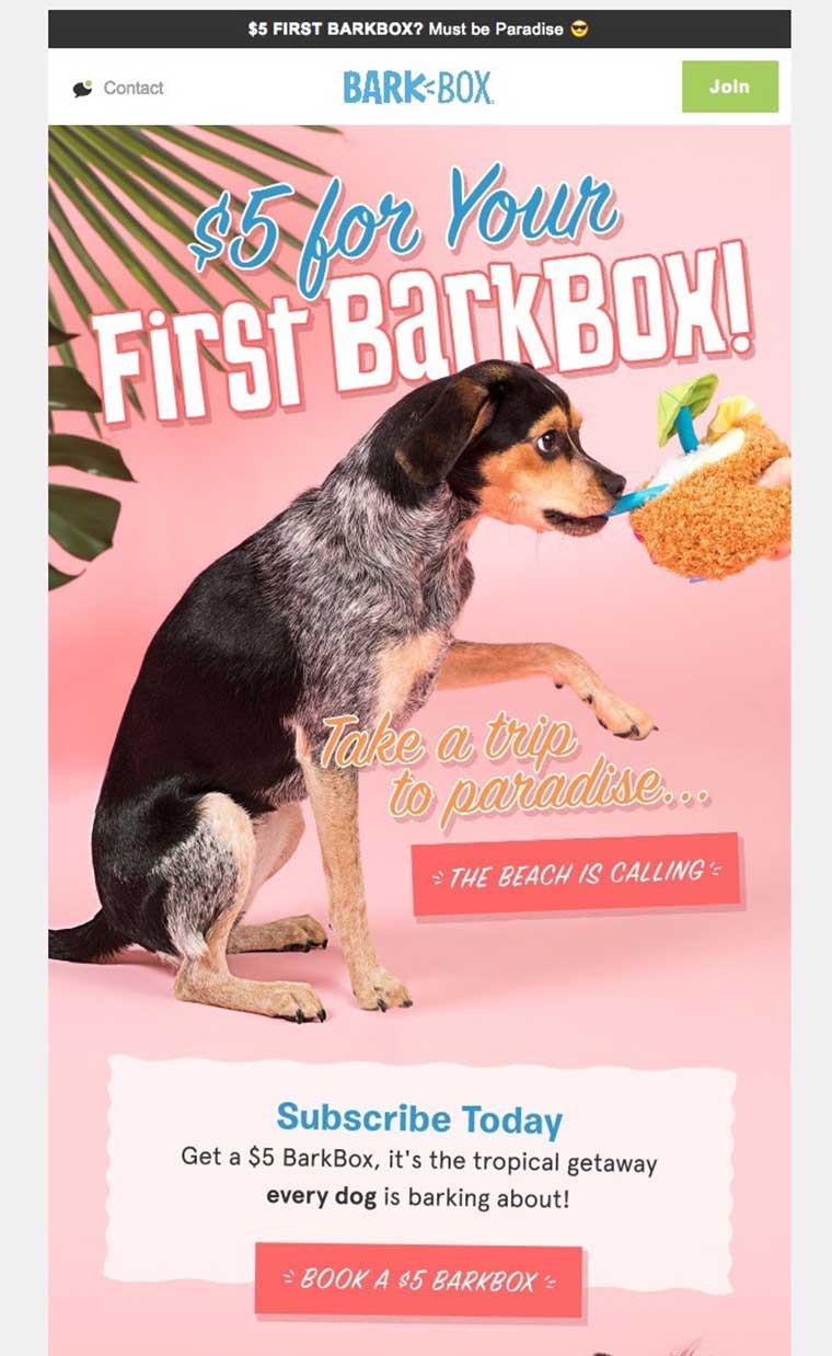 humor en las campañas de email marketing barkbox