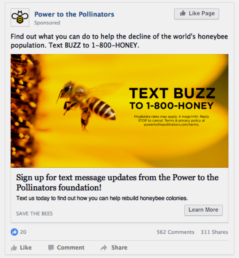 Campaña de recaudación para las abejas