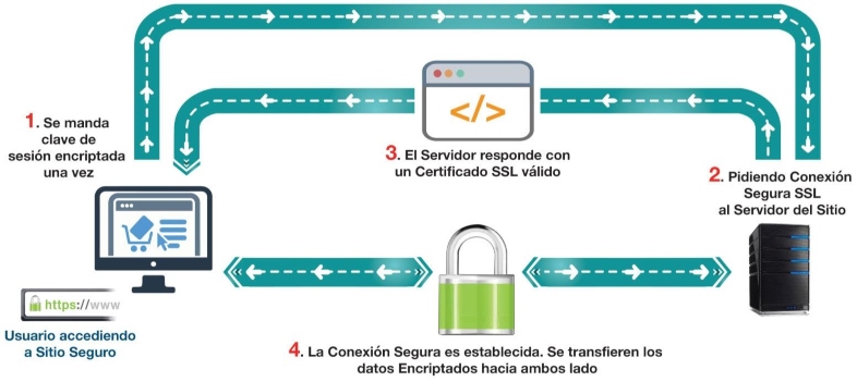 Cómo funciona el certificado SSL en tu web