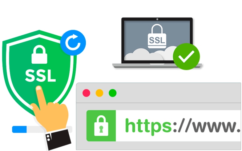 Más información del certificado SSL en tu web