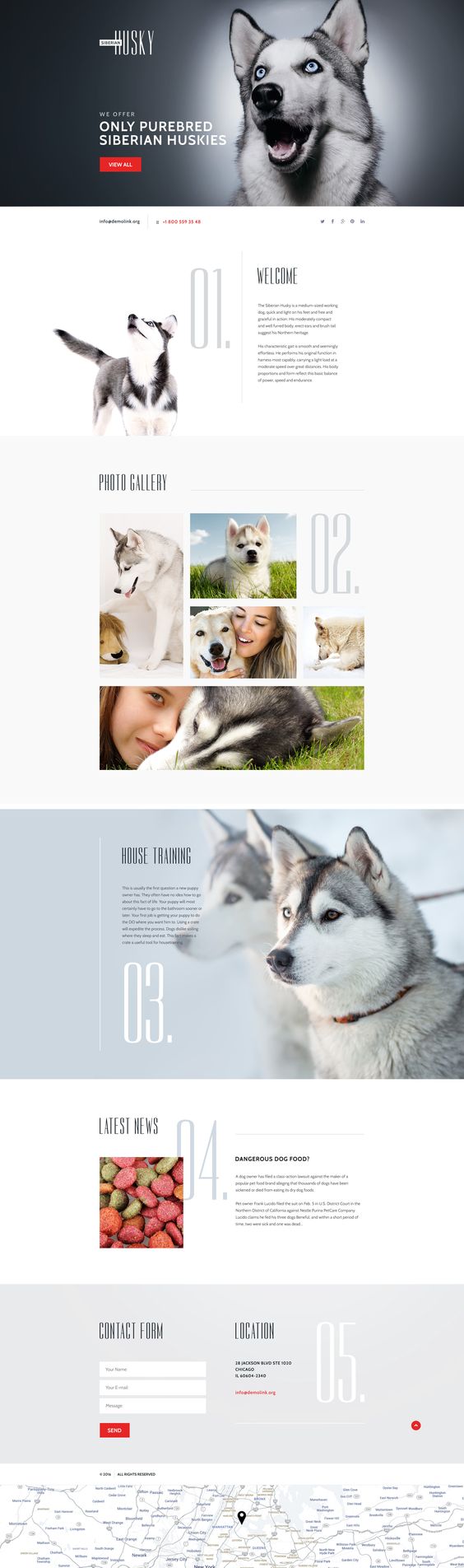 campañas de email con animales