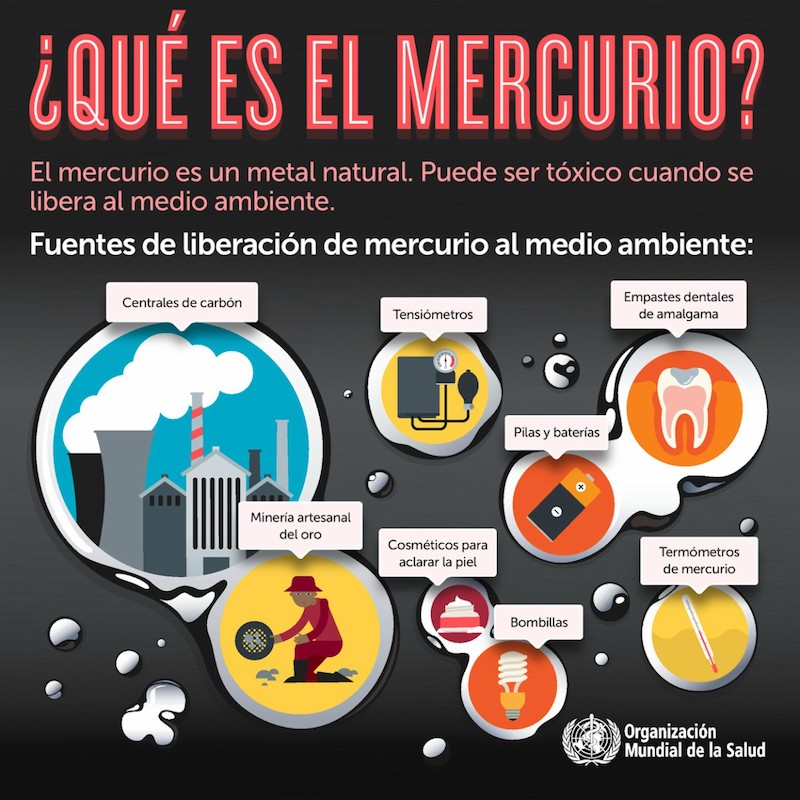 Infografías para generar leads
