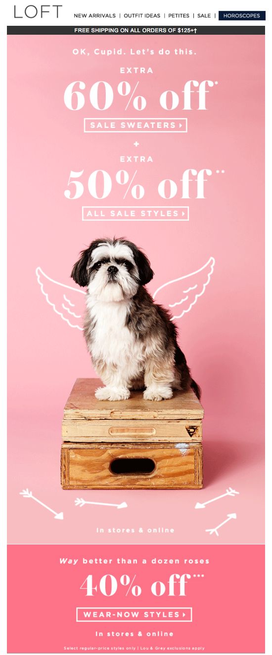 campañas de email con animales