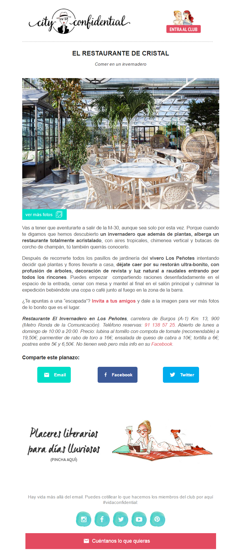 email fundamentales en un ecommerce: newsletters