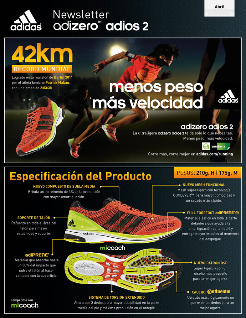 Newsletter Adidas