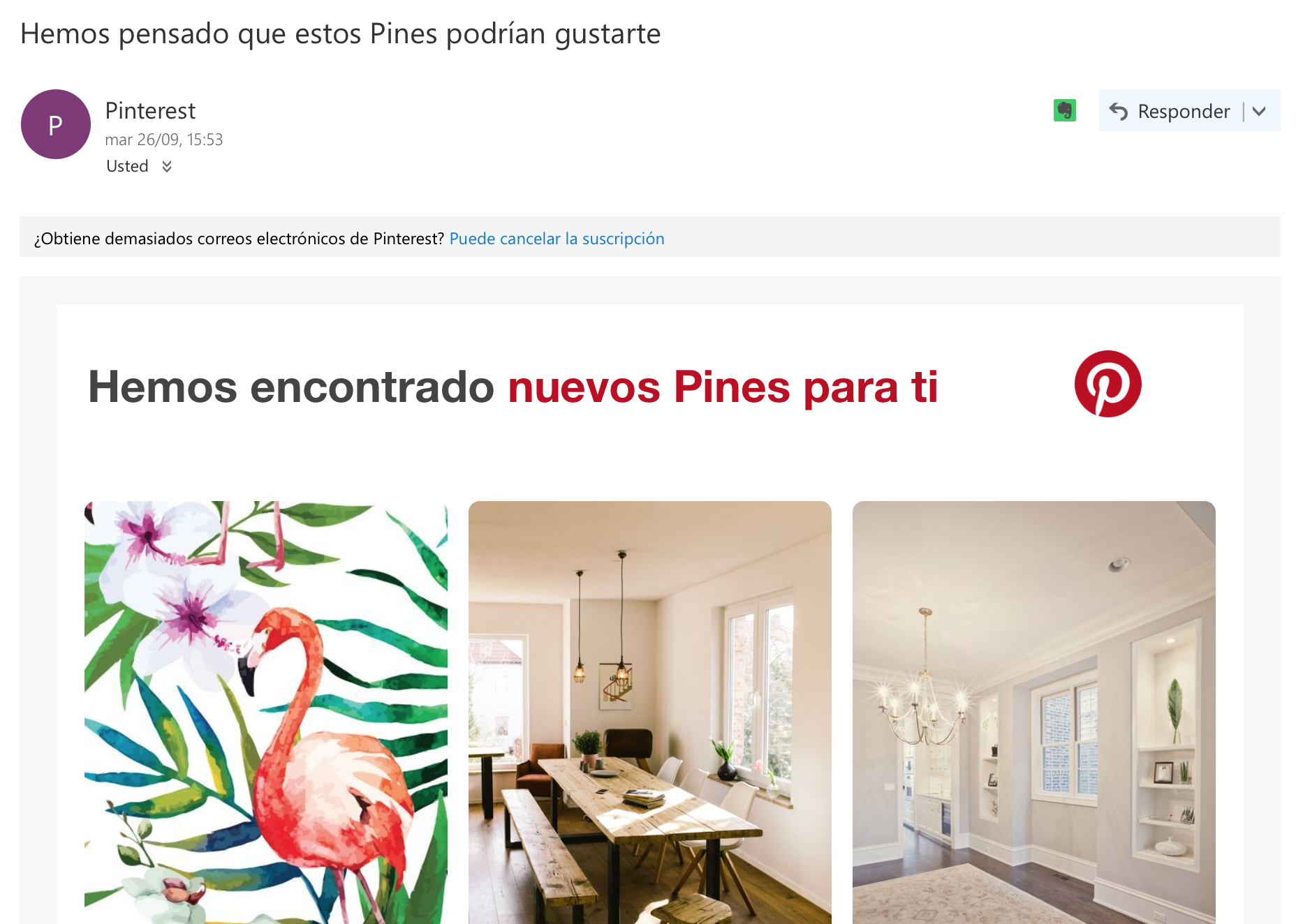 newsletter personalizadas en función de los gustos de los usuarios