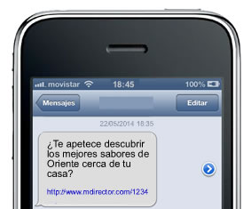 rich sms efectivos: preguntas