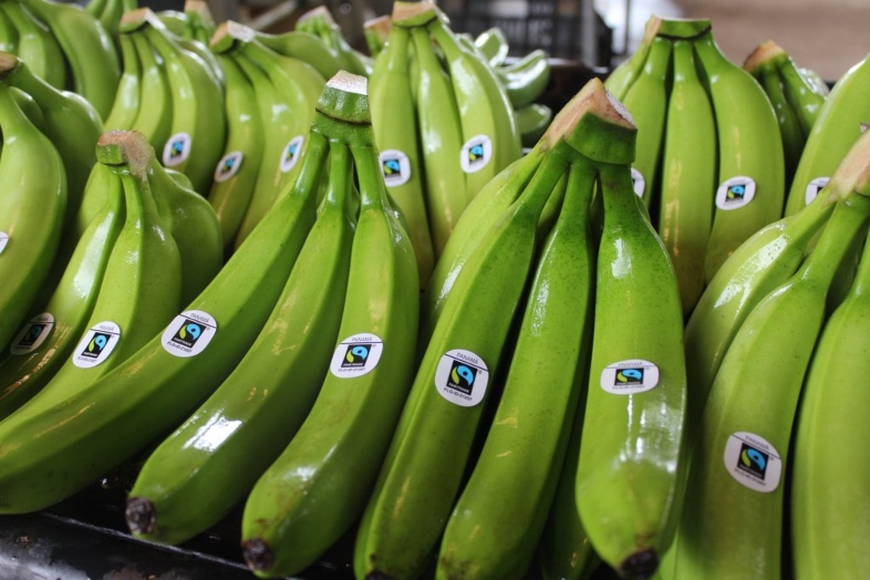 Bananas de países de America del Sur: uno de los productos de comercio justo más demandados