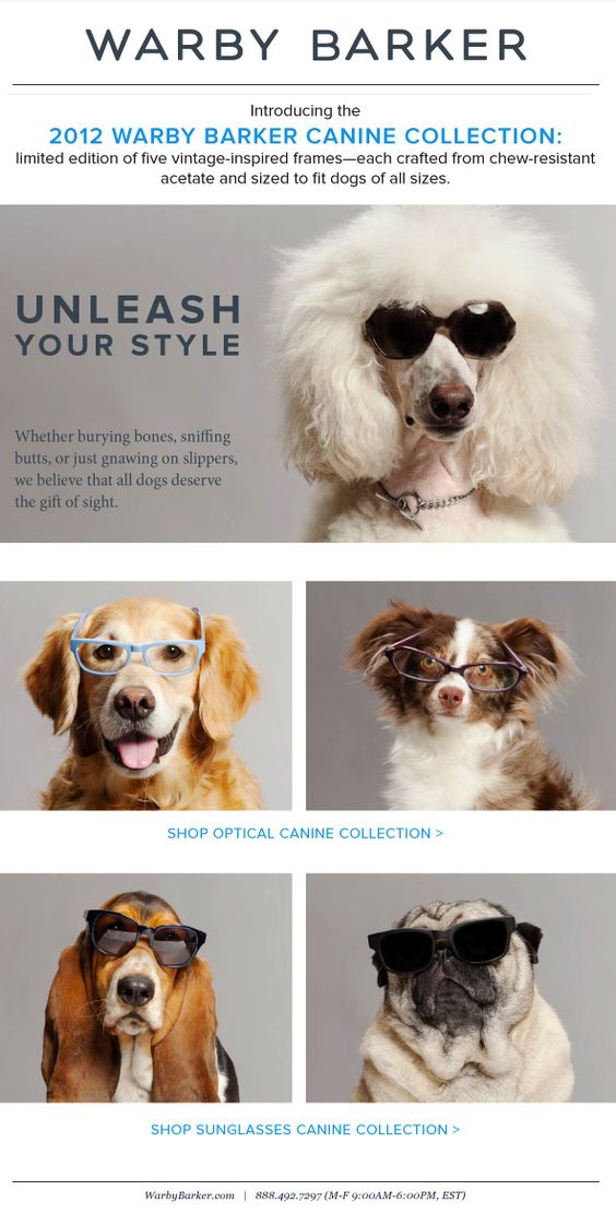 campañas de email con animales