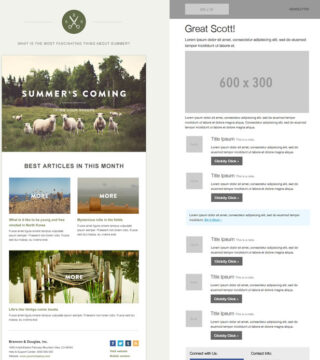 5 Responsive newsletter templates