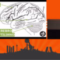 3 estrategias de marketing online para satisfacer al cerebro reptiliano